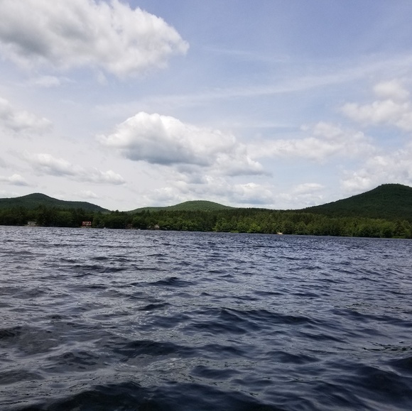 Meet your Posher, Jackie - Picture 1 of 1